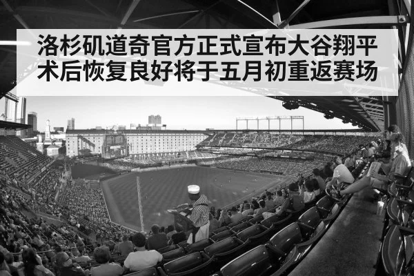 baseball stadium crowd